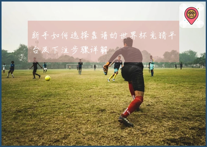 新手如何选择靠谱的世界杯竞猜平台及下注步骤详解