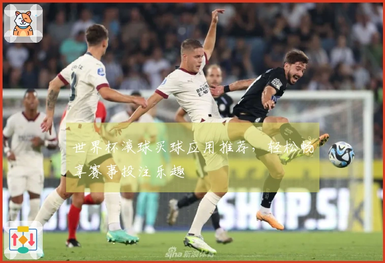 世界杯滚球买球应用推荐,轻松畅享赛事投注乐趣