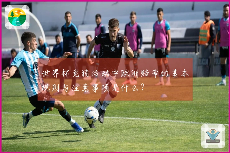 世界杯竞猜活动中欧洲赔率的基本规则与注意事项是什么？