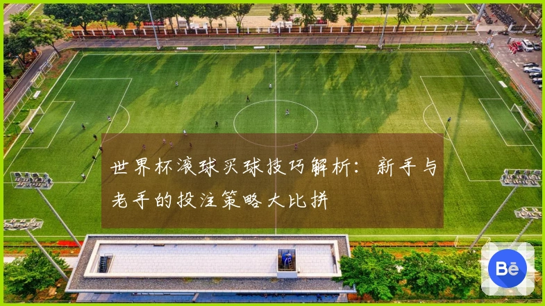 世界杯滚球买球技巧解析：新手与老手的投注策略大比拼