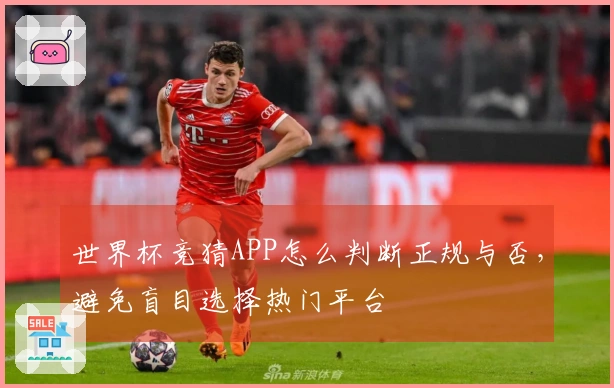 世界杯竞猜APP怎么判断正规与否，避免盲目选择热门平台